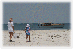 Merc on the beach